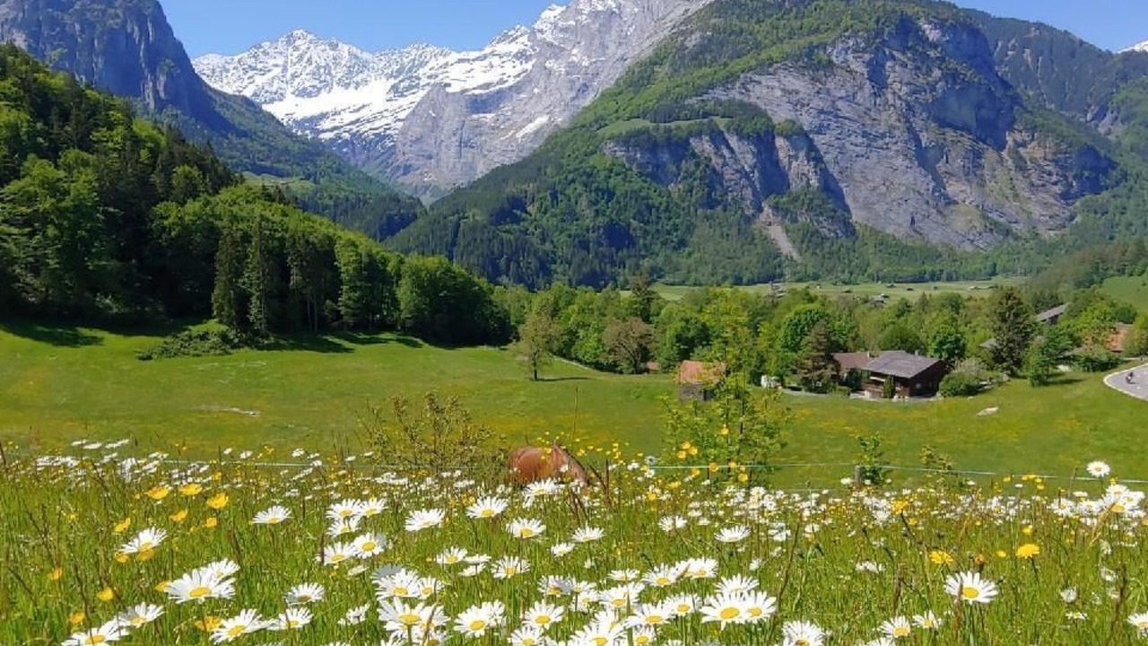 Photo of Others in Wiler