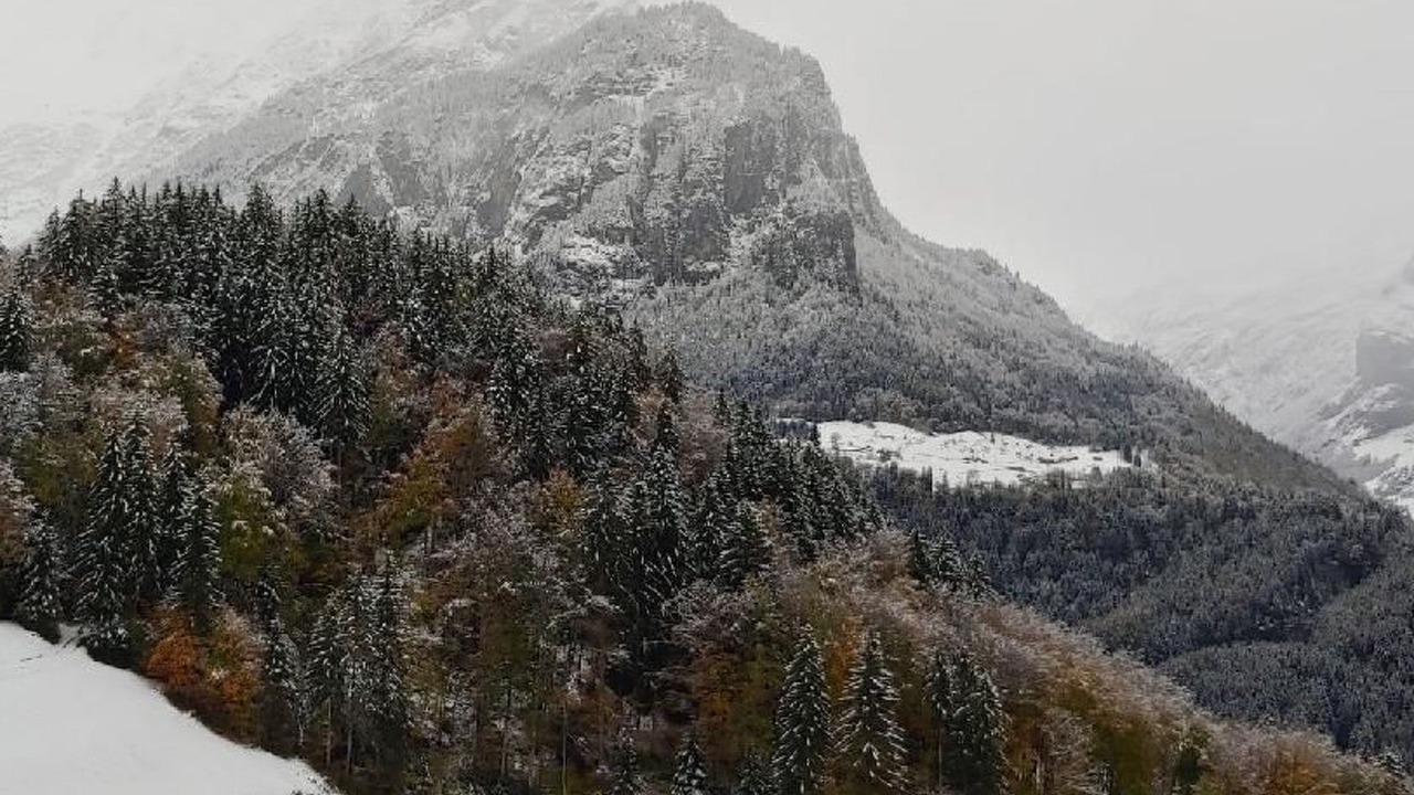 Photo of Others in Wiler