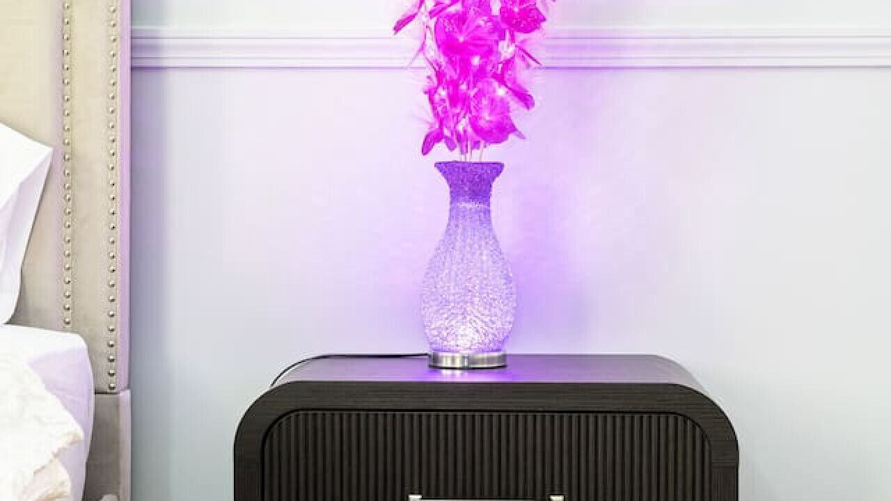 Photo of Others in Roxbury