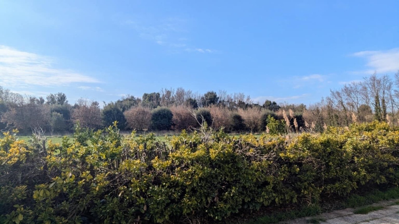 Photo of Outdoor in Monteux