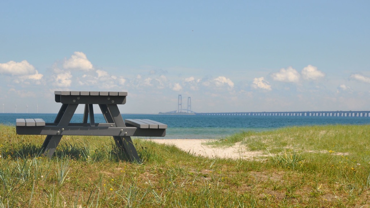Photo of Others in Nyborg