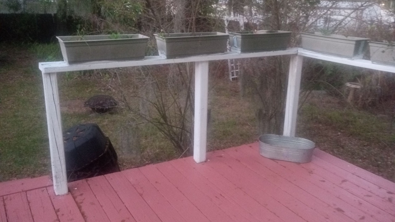 Photo of Outdoor in Dade City