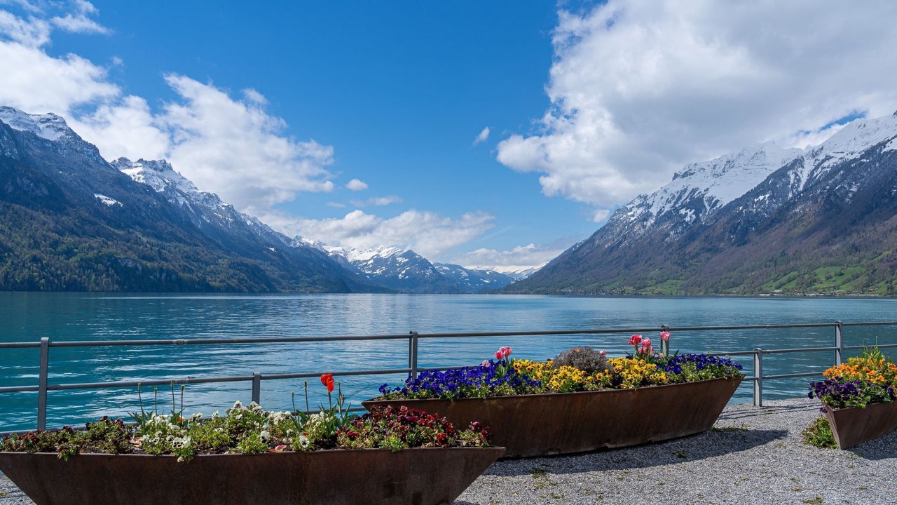 Photo of Others in Brienz