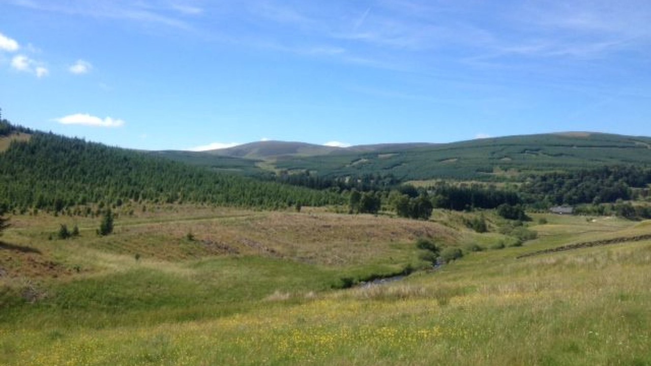 Photo of Others in Biggar