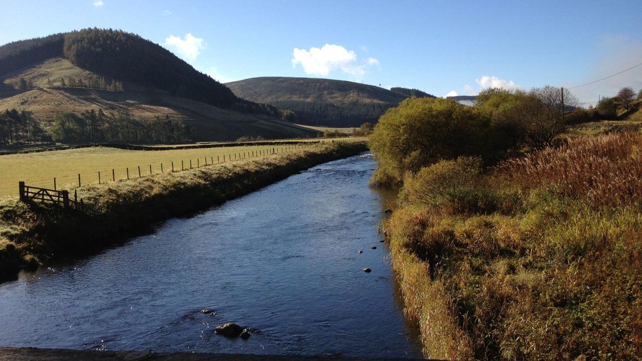 Photo of Others in Biggar