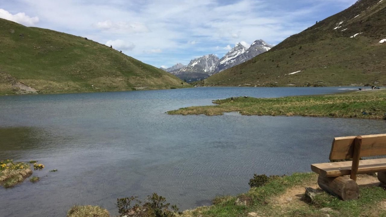 Photo of Others in Arosa