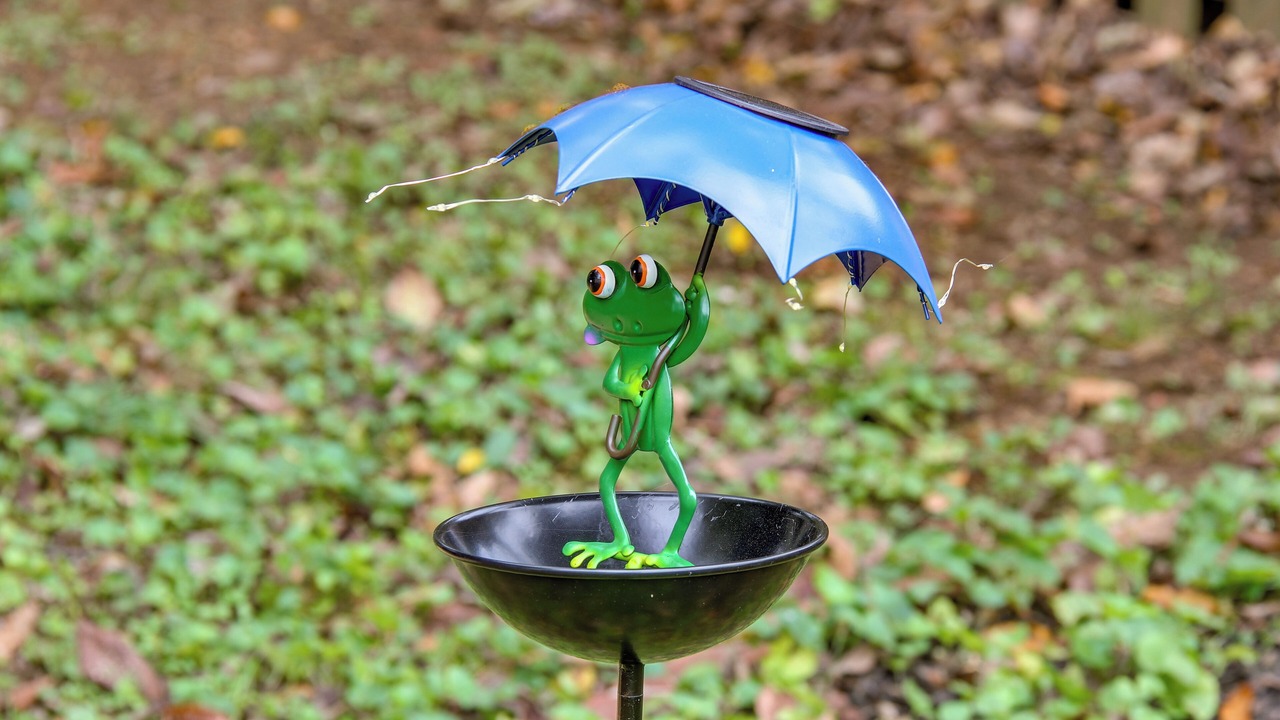 Photo of Others in Pulaski