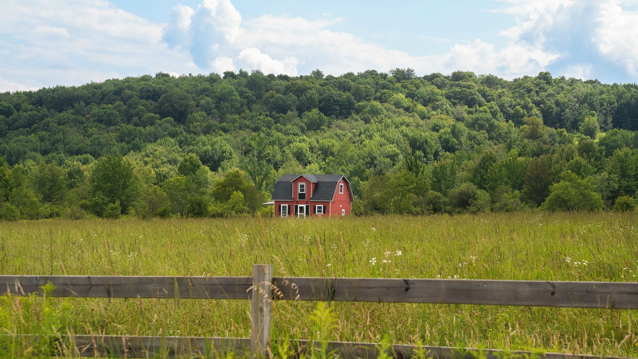 Photo of Others in South Kortright