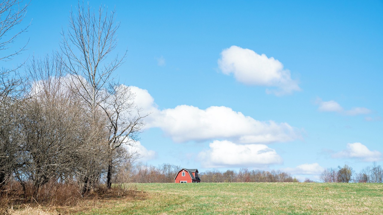 Photo of Others in South Kortright