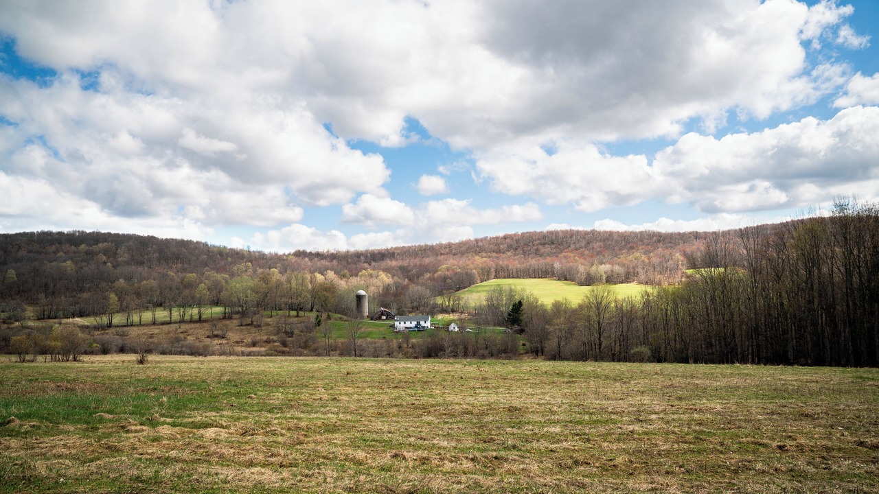 Photo of Others in South Kortright