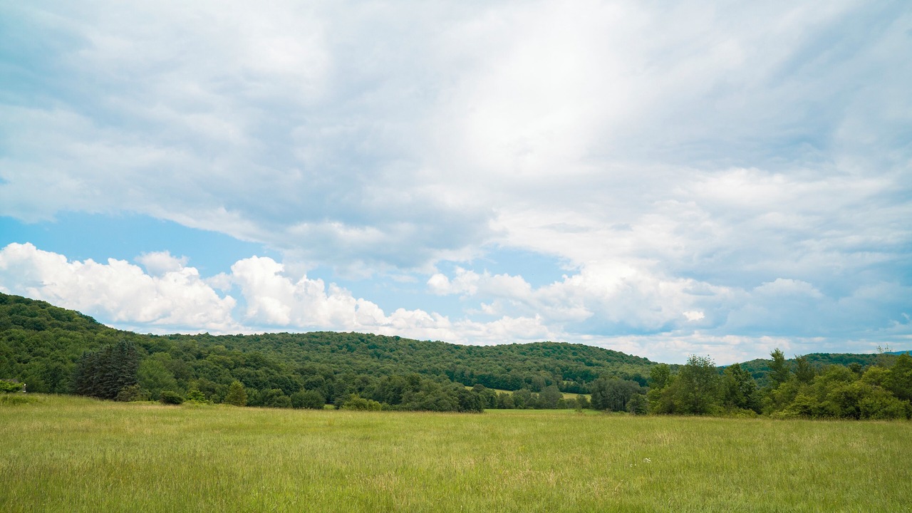 Photo of Others in South Kortright