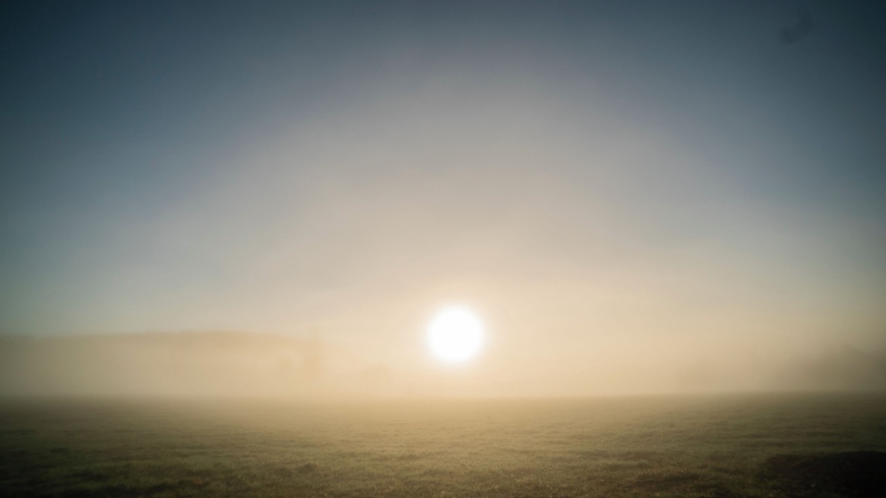 Photo of Others in South Kortright