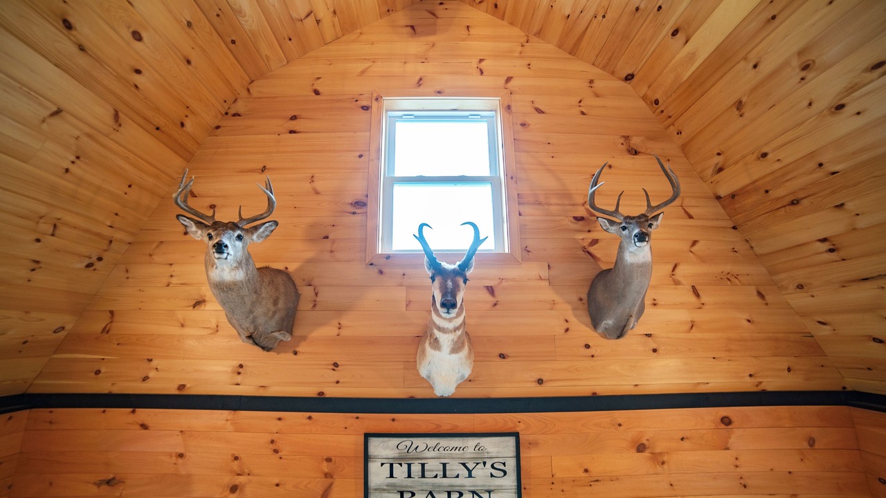 Photo of Others in South Kortright