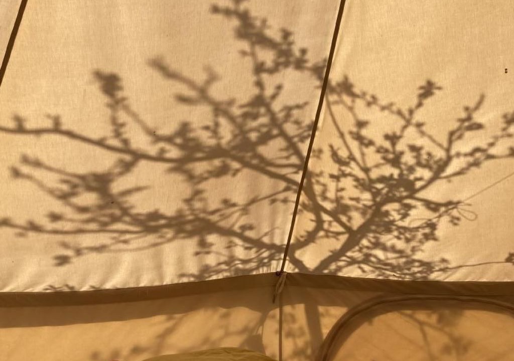 Photo of Bedroom in Ennetmoos