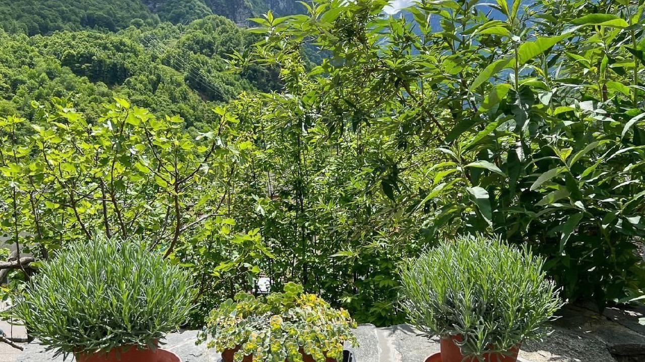 Photo of Outdoor in Cavergno