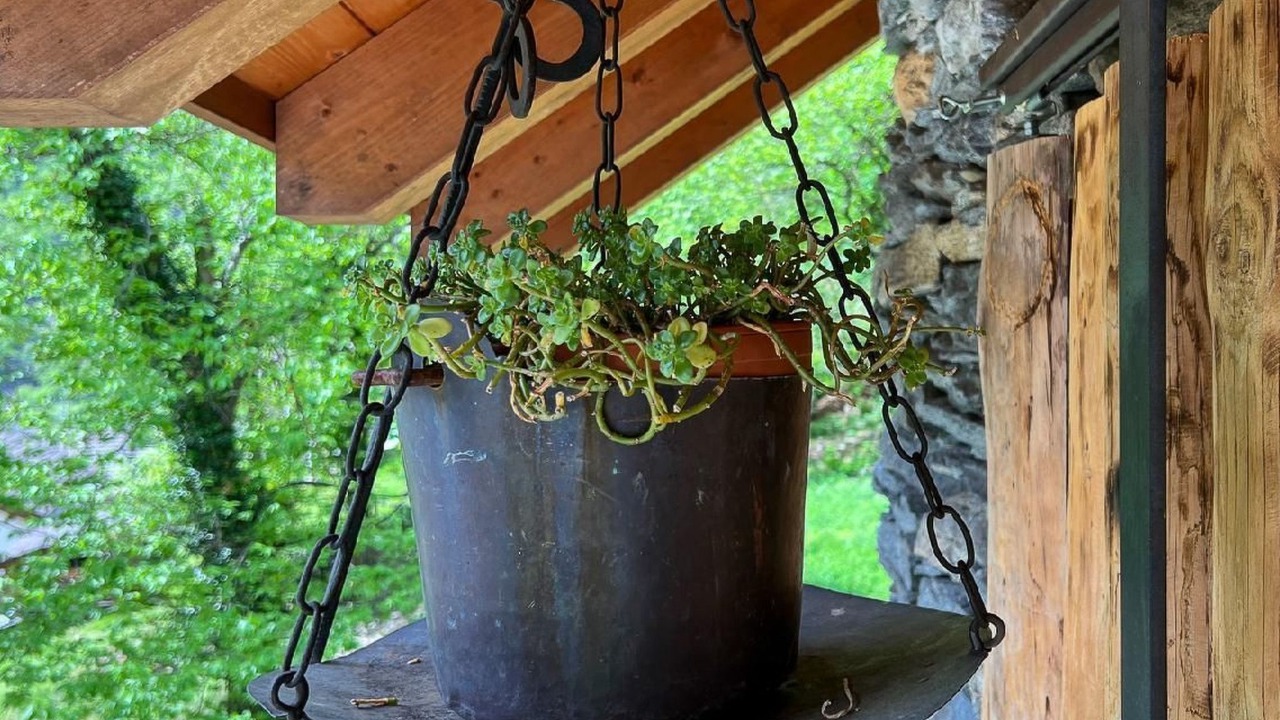 Photo of Outdoor in Cavergno