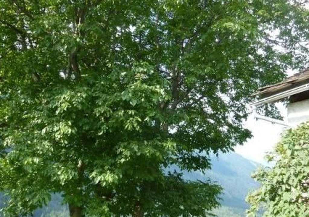 Photo of Outdoor in Bregaglia