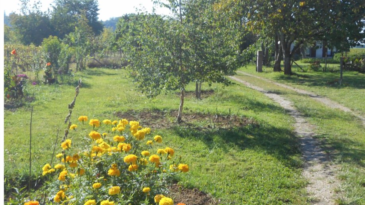 Photo of Outdoor in Pujols