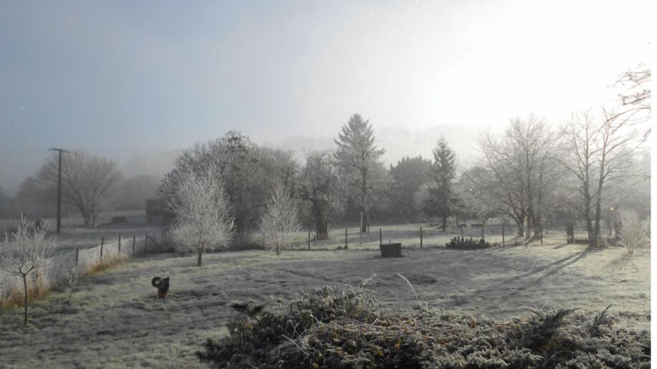 Photo of Others in Pujols