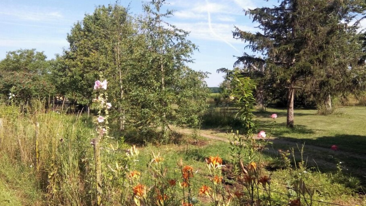 Photo of Outdoor in Pujols