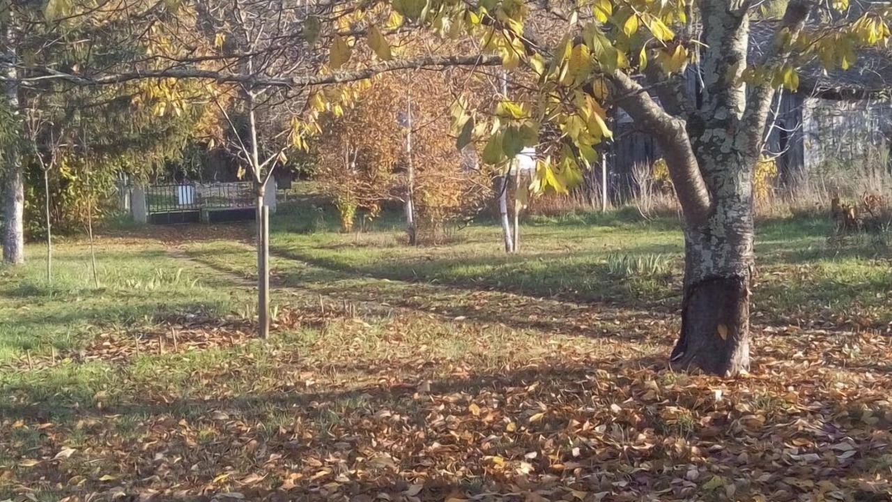 Photo of Outdoor in Pujols