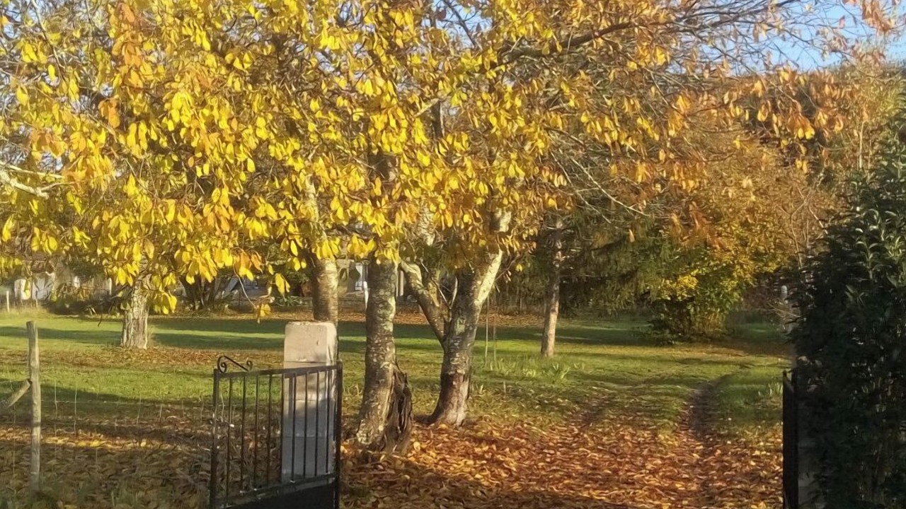 Photo of Outdoor in Pujols