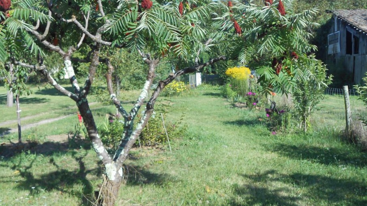 Photo of Outdoor in Pujols