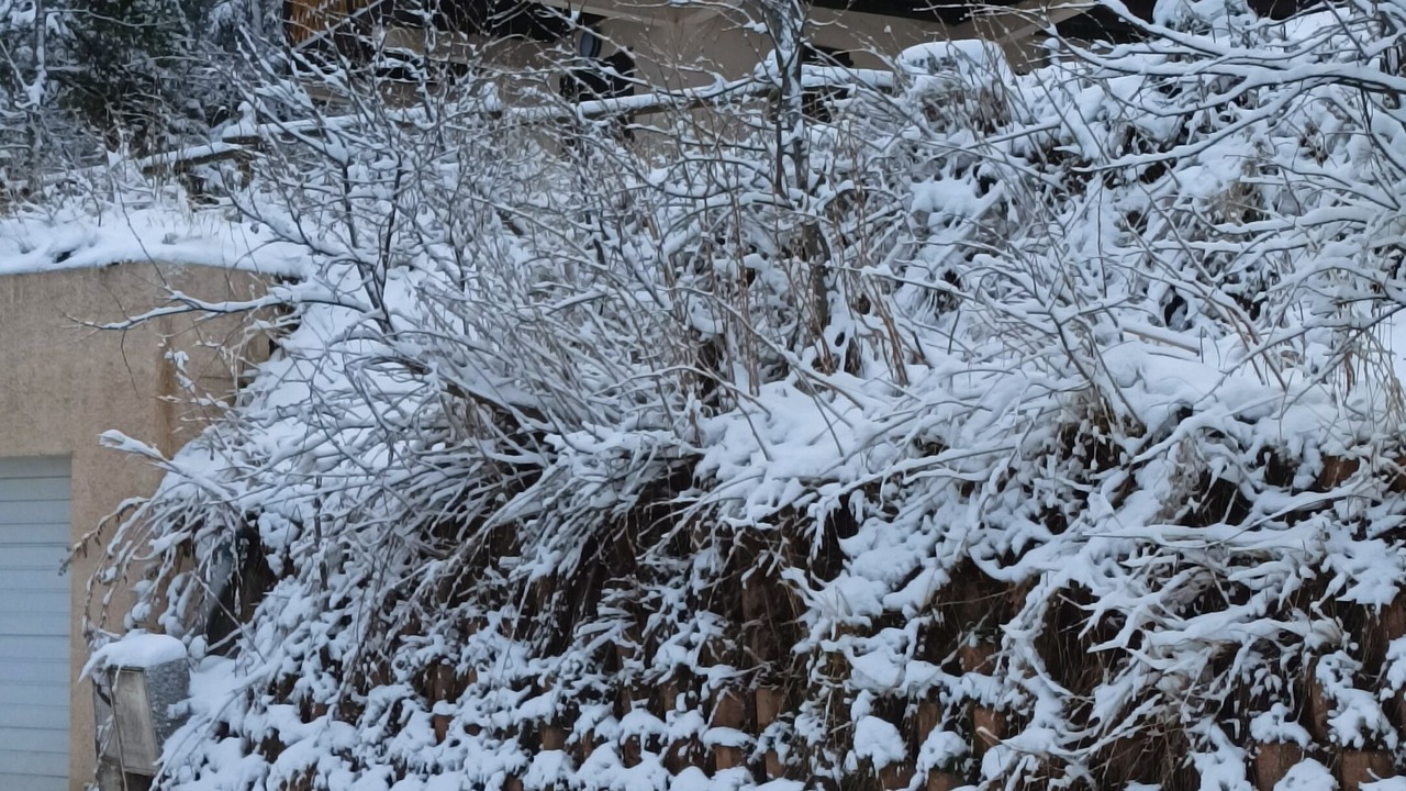 Photo of Outdoor in Eyne 2600