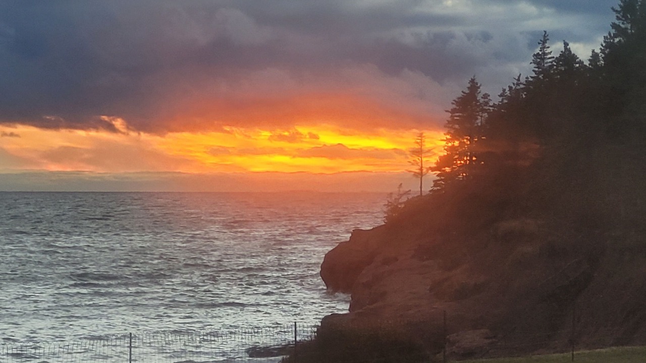 Photo of Others in Fernwood