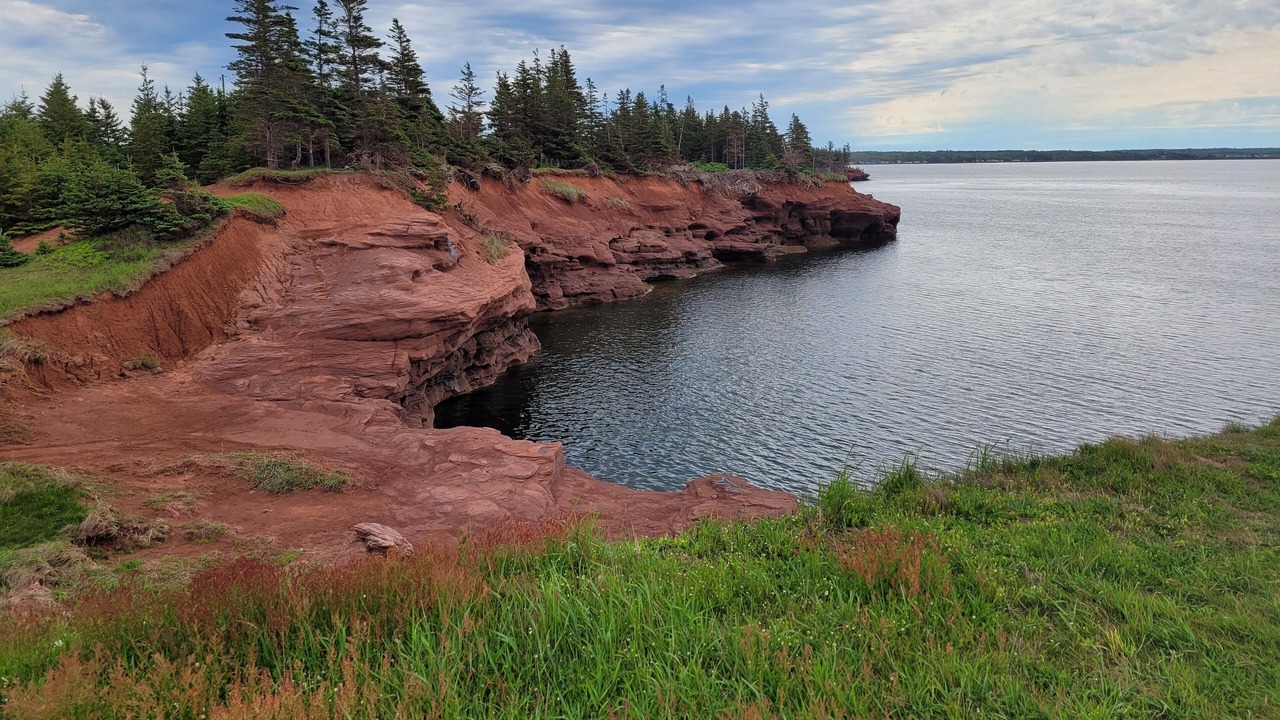 Photo of Others in Fernwood