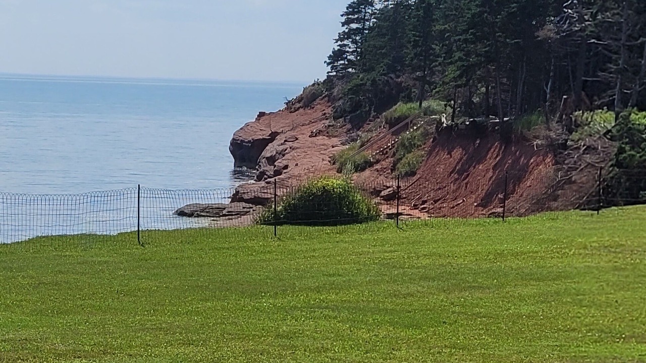 Photo of Others in Fernwood