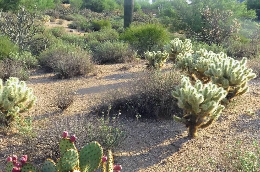 Photo of Outdoor in Pinnacle Peak