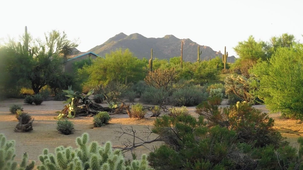 Photo of Outdoor in Pinnacle Peak