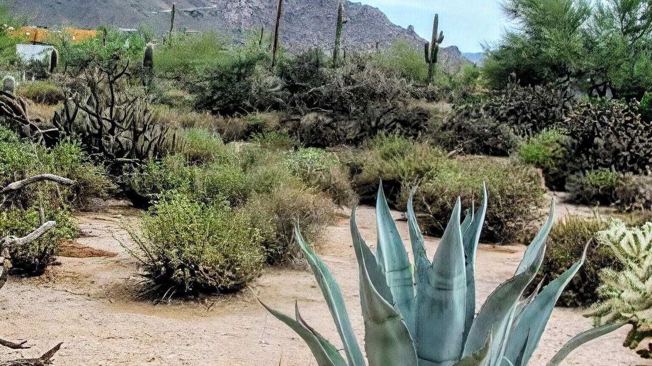 Photo of Others in Pinnacle Peak
