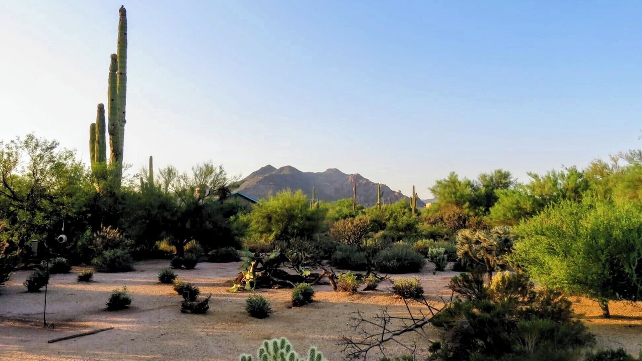Photo of Outdoor in Pinnacle Peak