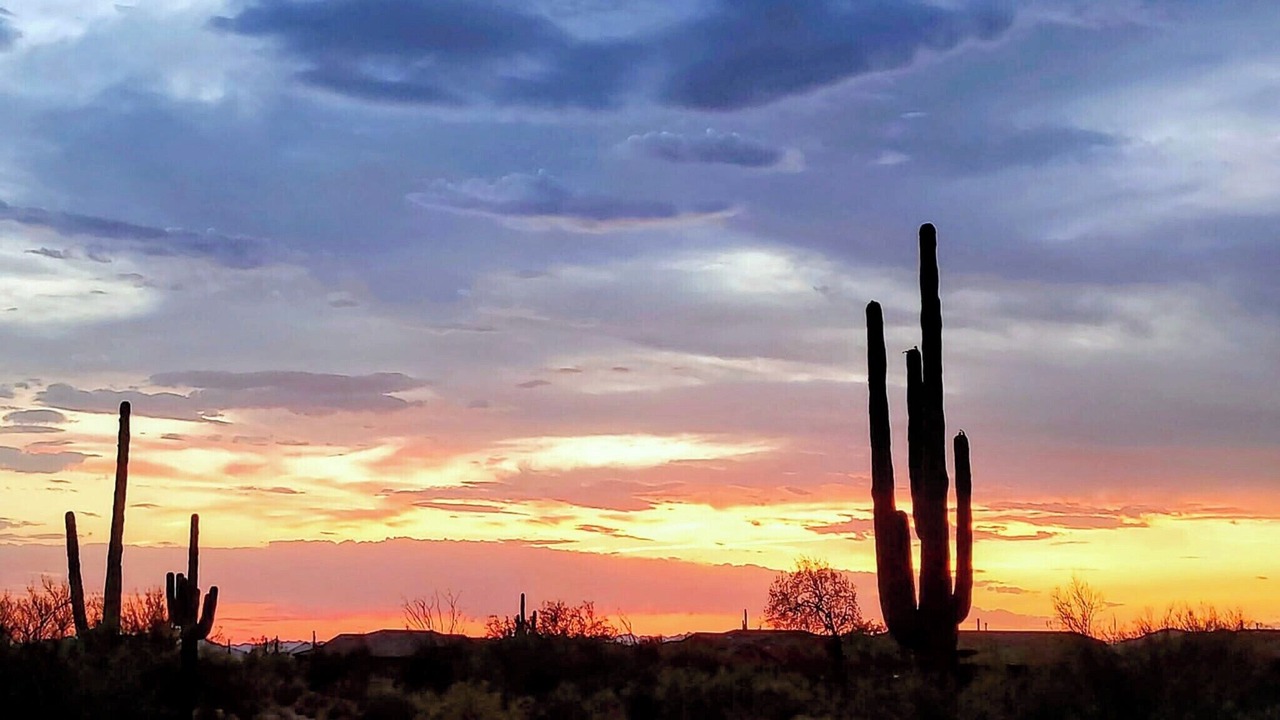 Photo of Others in Pinnacle Peak