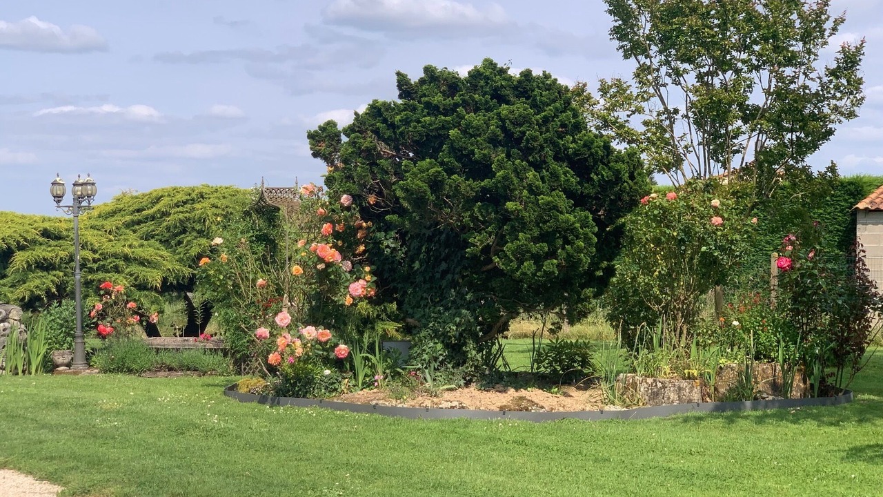 Photo of Outdoor in Merignac