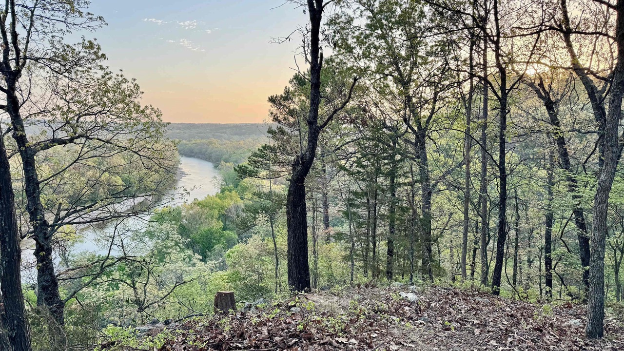 Photo of Others in Tahlequah