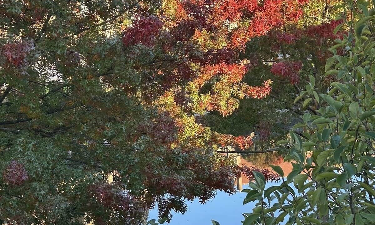 Photo of Others in Paray-le-Monial