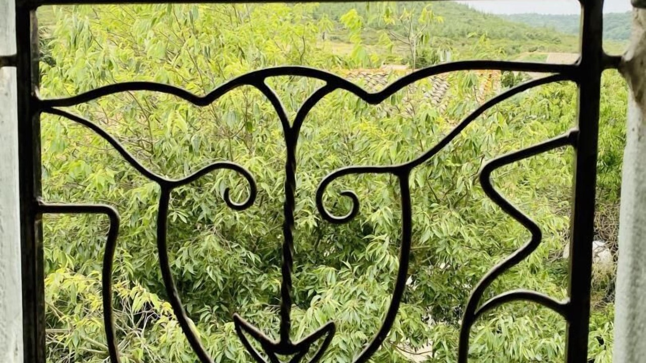 Photo of Outdoor in Davejean