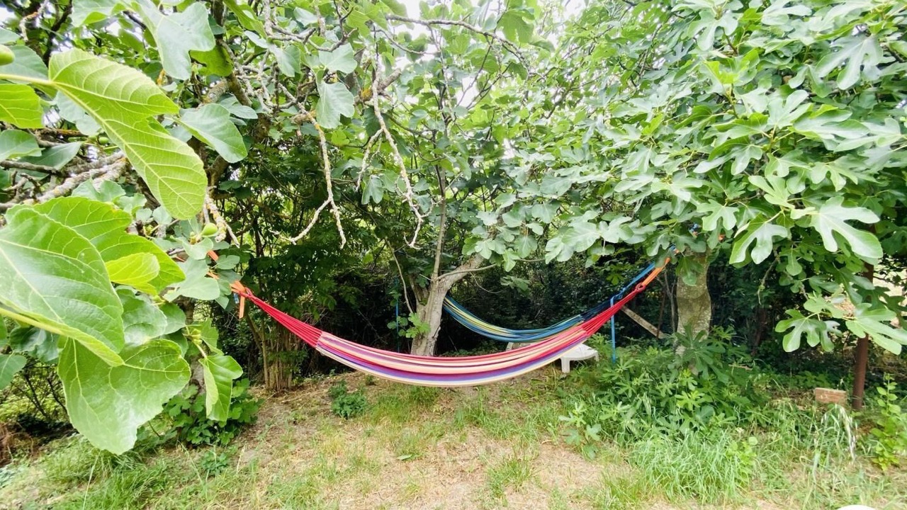 Photo of Outdoor in Davejean