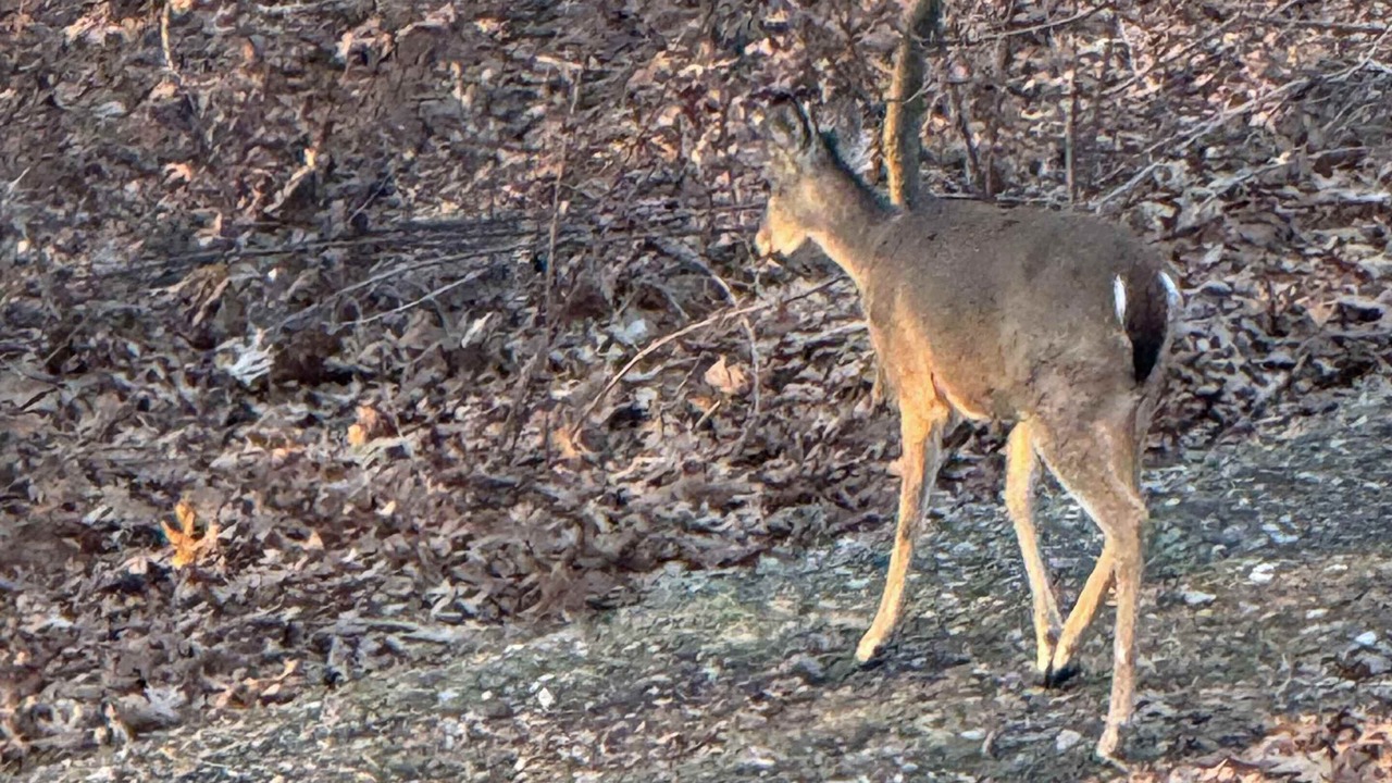 Photo of Others in Notch Estates