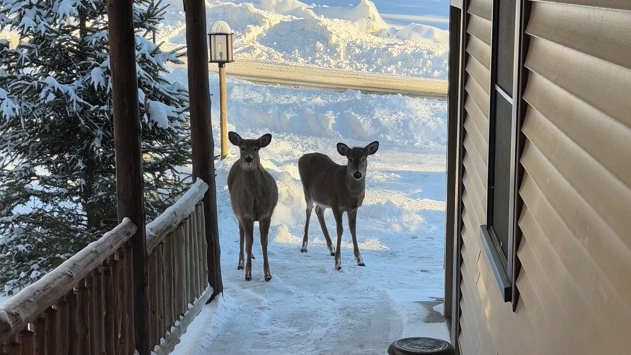 Photo of Outdoor in Old Forge