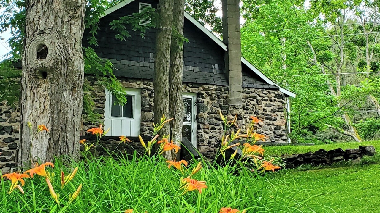 Photo of Outdoor in Tay Valley