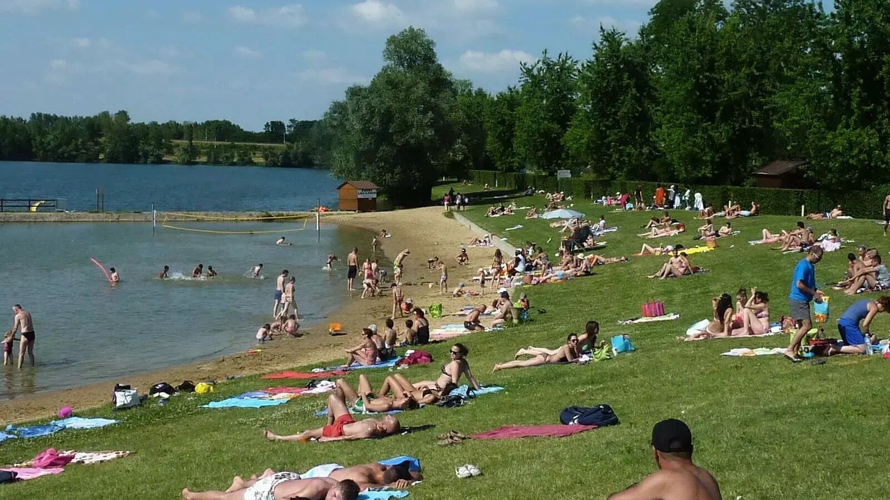 Photo of Others in Cormoranche-sur-Saone