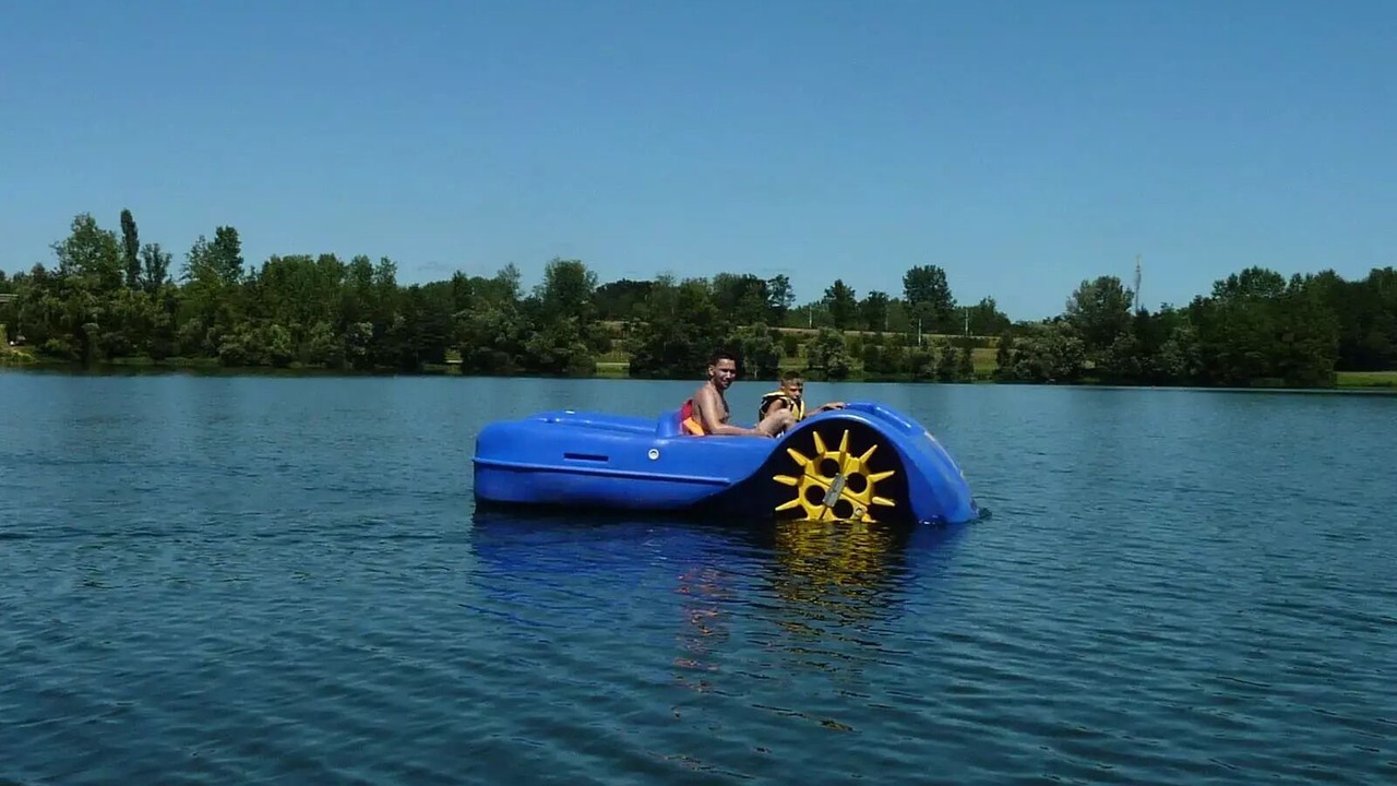 Photo of Others in Cormoranche-sur-Saone