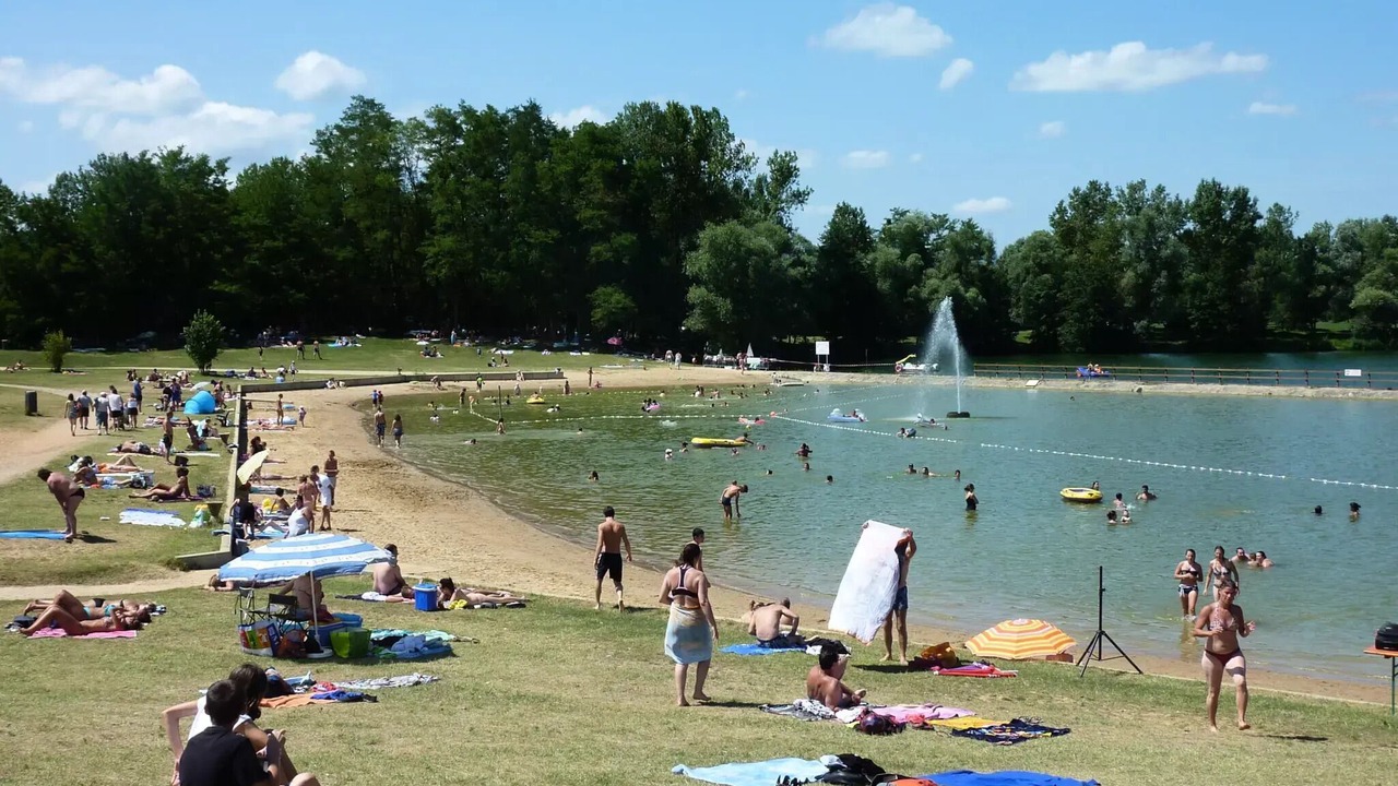 Photo of Others in Cormoranche-sur-Saone