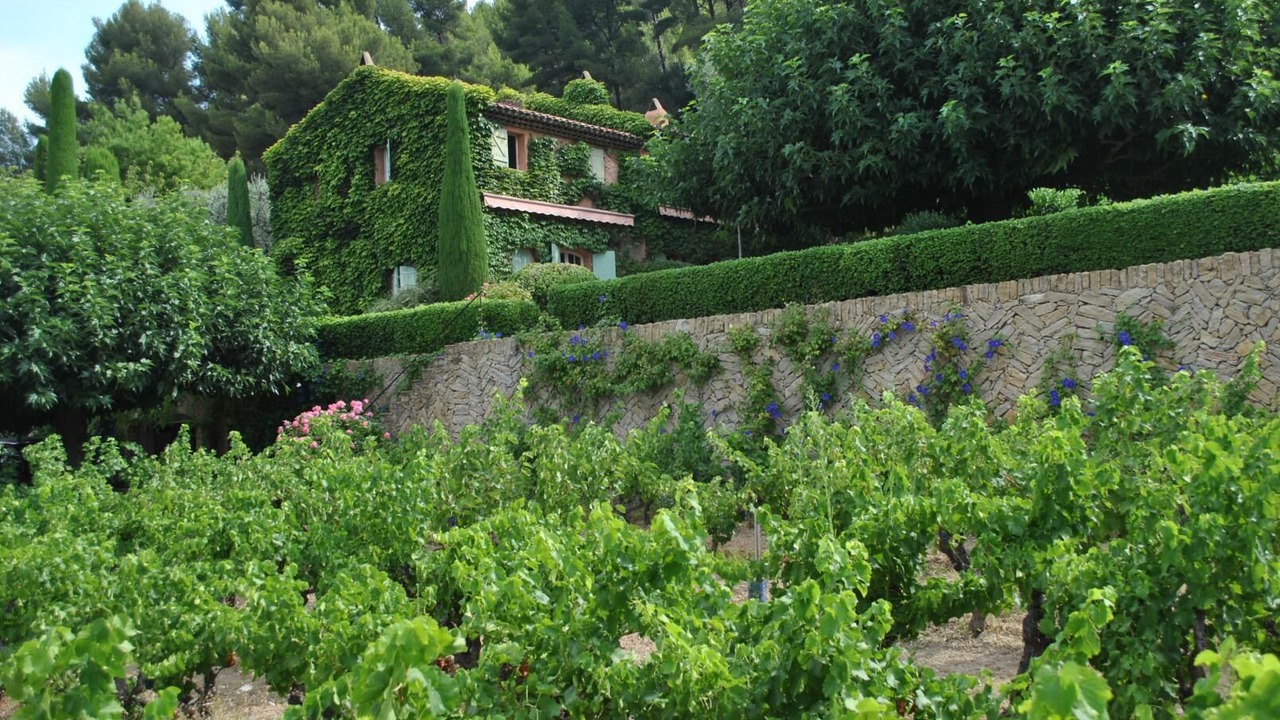 Photo of Outdoor in La Cadiere-d'Azur