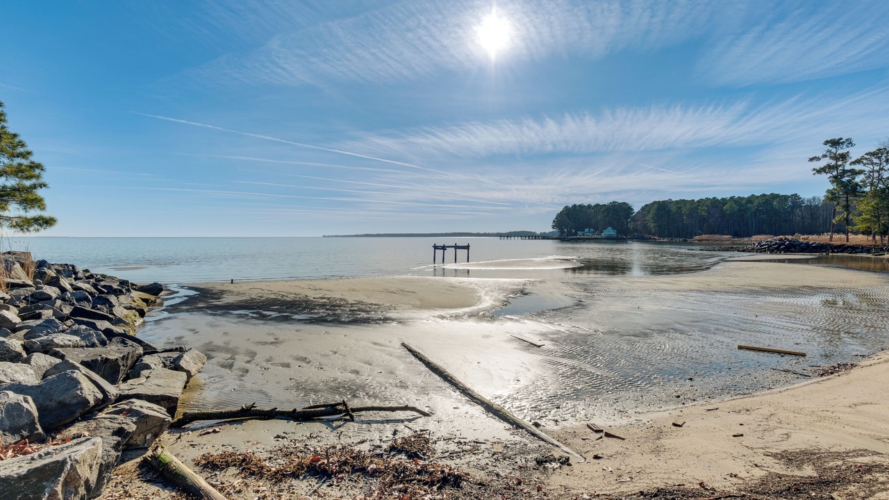 Photo of Others in Hague