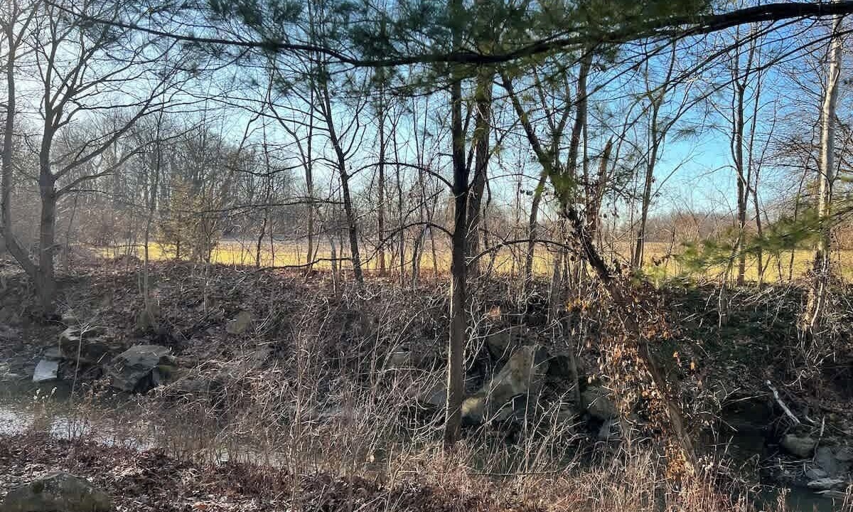 Photo of Outdoor in Avon